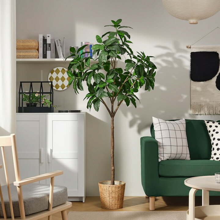 楽天市場】[IKEA/イケア/通販]FEJKA フェイカ 人工観葉植物, 室内/屋外 