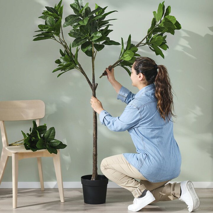 楽天市場】[IKEA/イケア/通販]FEJKA フェイカ 人工観葉植物, 室内/屋外 