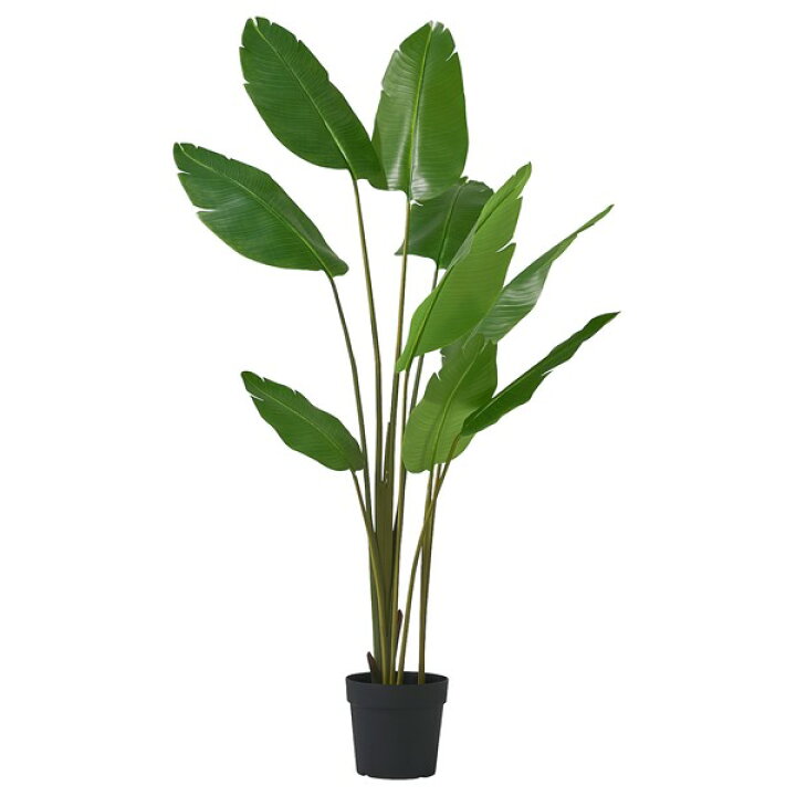 楽天市場】[IKEA/イケア/通販]FEJKA フェイカ 人工観葉植物, 室内/屋外
