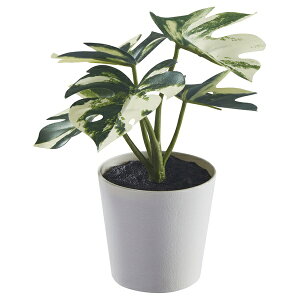 [IKEA/CPA/ʔ]FEJKA tFCJ lHϗtA Jo[t, /Op Xe[A](b)(40593207)