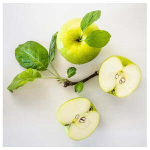 [IKEA/CPA/ʔ]LOVSKOGSLUND [XROXh A}Lh OX, S/CgO[[A](c)(40582058)