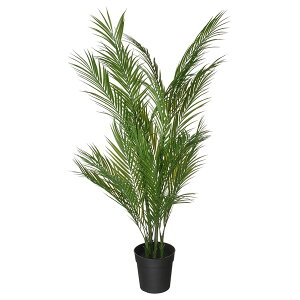 [IKEA/CPA/ʔ]FEJKA tFCJ lHϗtA, /Op AJV, 19 cm[D](c)(80600890)