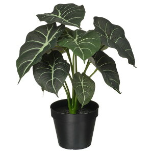 [IKEA/CPA/ʔ]FEJKA tFCJ lHϗtA, /Op AJVA, 12 cm[B](b)(10600879)