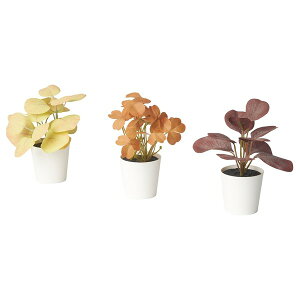 [IKEA/CPA/ʔ]FEJKA tFCJ lHϗtA Aؔt3_Zbg, /Op t, 6 cm[A](20601468)