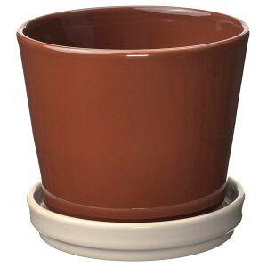 [IKEA/CPA/ʔ]KLOTLONN N[g Aؔ 󂯎Mt, /Op/bh/uE Cgx[W, 12 cm[AA](50598266)