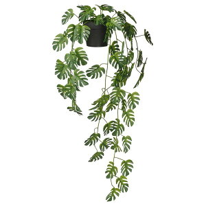 [IKEA/CPA/ʔ]FEJKA tFCJ lHϗtA, /Op 艺^/Xe, 9 cm[C](00608404)