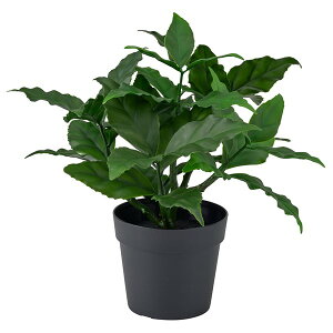 [IKEA/�C�P�A/�ʔ�]FEJKA �t�F�C�J �l�H�ϗt�A��, ����/���O�p/�Q�b�P�C�W��, 9 cm[B](a)(50610744)