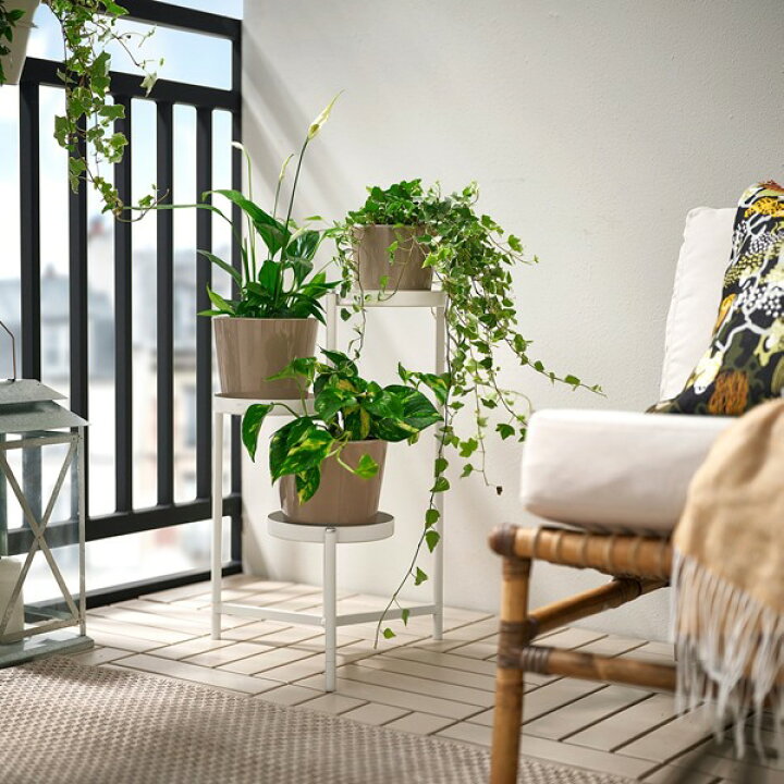 楽天市場】[IKEA/イケア/通販]OLIVBLAD オリヴブラード プラント 