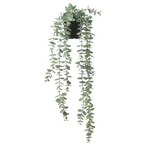 [IKEA/�C�P�A/�ʔ�]FEJKA �t�F�C�J �l�H�ϗt�A��, ����/���O�p �艺���^/���[�J��, 9 cm[C](80615250)