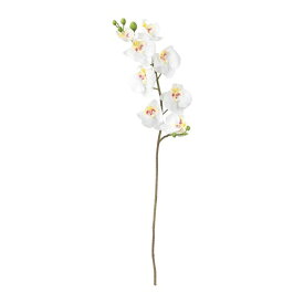 [IKEA/イケア/通販]SMYCKA スミッカ 造花, Orchid/ホワイト[C](a)(90333599)