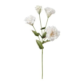 [IKEA/イケア/通販]SMYCKA スミッカ 造花, トルコキキョウ/ホワイト[C](b)(80409735)