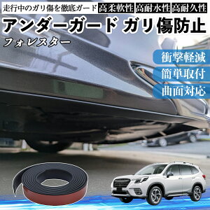 �y�|�C���g10�{ ���������z�X�o�� �t�H���X�^�[ SK�n �A���_�[�K�[�h �K�����h�~ �A���_�[�v���e�N�^�[ �o���p�[�K�[�h �G�A���K�[�h ���[�� ���B�� WeCar