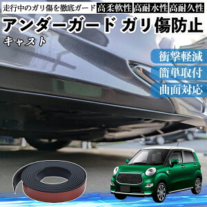 �y�|�C���g10�{ ���������z�_�C�n�c �L���X�g �A���_�[�K�[�h �K�����h�~ �A���_�[�v���e�N�^�[ �o���p�[�K�[�h �G�A���K�[�h ���[�� ���B�� WeCar