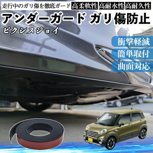 �y�|�C���g10�{ ���������z�g���^ �s�N�V�X�W���C LA250 260A �A���_�[�K�[�h �K�����h�~ �A���_�[�v���e�N�^�[ �o���p�[�K�[�h �G�A���K�[�h ���[�� ���B�� WeCar