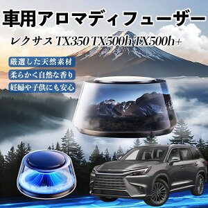 y|Cg10{ zNTX TX350 TX500h TX500h+  F [dA}fBt[U[ 8F͋CCg 3{t 2025V^ L CF  WeCar