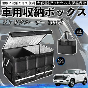 �y�|�C���g10�{ ���������z�g���^ �����h�N���[�U�[ 300�n �ԗp ���[�{�b�N�X �g�����N�{�b�N�X ��e�� �܂��ݎ� �ۉ� �ۗ� �ϖ��� �h�� �ۉ��o�b�O�ʔ��� WeCar