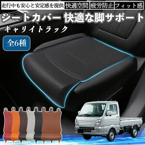 y|Cg10{ zXYL LCgbN ԗp V[gJo[ J[V[g V[gNbV ȃV[g zc rT|[g 3D\ ~ ꖇ WeCar