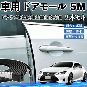 y|Cg10{ zNTX RC350 RC300h RC300  hA[ hAGbW[ hAK[h veN^[ U^ h~ ی ጸ 5M 2{Zbg WeCar