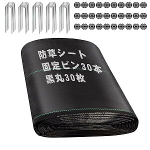 hV[g 1m×20m V[g hV[g Œs ڂV[g 10Nϋv  x  ϋv G΍ Gh~  ʘH  |p Hp