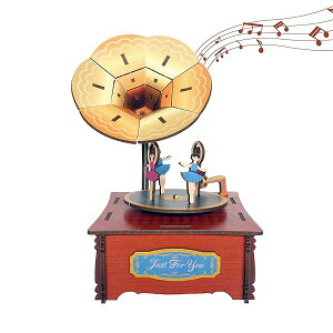 IS[ ̃pY 3DؐpY DIYy{bNX gݗ ]IS[ vd|  Ebh Ntg ̎q l a Mtgi~@j