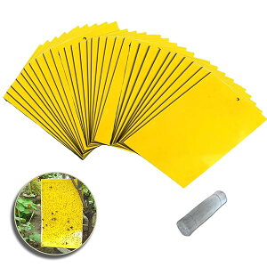 ߂SV[g 悯v[gߒV[g hV[g XeBbL[ Lb`[ nG AuV ~oG Q΍pi ʋ͔SߒV[g OΉgbv (i20cm*15cm)40