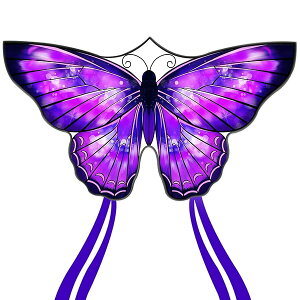 o^tCJCg q&lp ȒPɔԑ r[`p 傫ȃVOC Oe[&300tB[g̑(p[v)