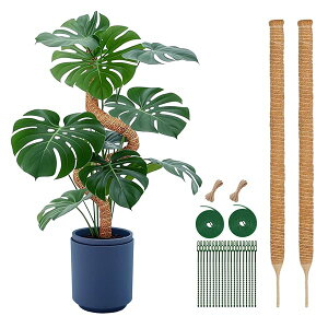 | x 120cm 2PCS  Xex RRXeBbN DIYȂ\ ϗt 鐫A A U K[fjO _Ɨp |p