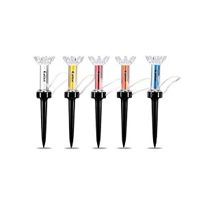 SteB[ 79mm 5 }OlbgeB[ StOeB[ eB[ St z_[ eB[ h~ Stpi