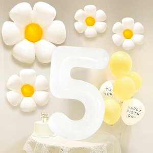 5 a t 傫  o[ fCW[ D Zbg t[o[ o[Xf[  Vv (io[ 5)