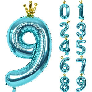 o[  D a 40C` 傫 io[9 t NE o[Xf[ t p[eB[ LO  j̎q ̎q 100cm  u[