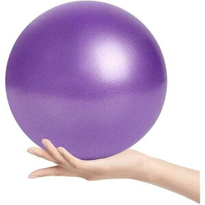 �o�����X�{�[�� ���K�p25cm�s���e�B�X�{�[���A�o�����X�̉��P�A�R�A�g���[�j���O�A�M���j�N�{�[�� �_�炩���{�[�� �G�N�T�T�C�Y�{�[������A�I�t�B�X�A�W���ŉ^������j���Ə����ɓK����