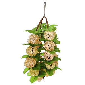 CR  ݂̒肨  I` ݉^Cv ̗Vя {[ XgX ZLZCCR  ރI` ObY o[hgC