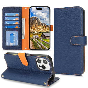 Ή iPhone 13 Pro Max P[X 蒠^ J[h[ X^h@\ ACtH12v}bNX P[X {v e ϏՌ iPhone13ProMax P[X 蒠^ iPhone 12 Pro Max U[ Jo[ u[ 