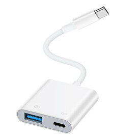 2in1 Type-C 変換アダプタ OTG機能搭載 超小型 USB-C 変換アダプター 高速データ転送＆PD充電対応 u
