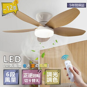 _5Nۏ؁Ă̂߁r[T^V[Ot@Cg led V[Ot@ t@tƖ V[OCg  8 10 12 F t]@\ Ɩ VƖ 