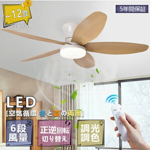 _5Nۏ؁tďH~r[T^V[Ot@Cg led V[Ot@ t@tƖ V[OCg  8 10 12 F t]@\ Ɩ VƖ @