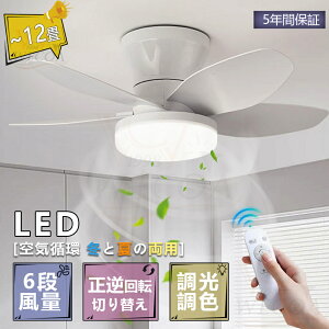 _5Nۏ؁tďH~r[T^V[Ot@Cg led V[Ot@ t@tƖ V[OCg  8 10 12 F t]@\ Ɩ VƖ @