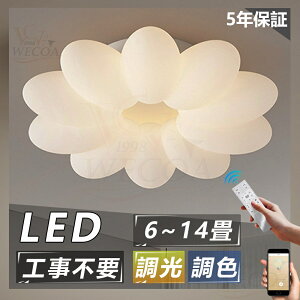 _5Nۏ؁ڂȂyV1ʁ^V[OCg  V  LED F q k a m Rt Ɩ 6 8 12 rO Ɩ  |Ή Hs