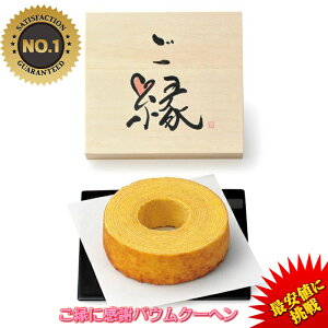 ɊӃoEN[w@EI-10B@1000~@lC َq @@o o  I j oYj Ԃ Mtg 蕨 EFfBO uC_@h`Ff