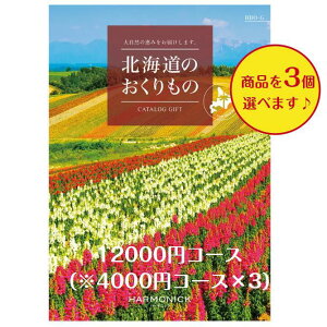kC O  J^OMtg 12000~ kĈ HDO-G gv o j j oYj oYj Vzj ]Ώj @ @v TԂ j iw w   AE 