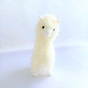 ʂ ApJ  Aj} CeA  蕨 킢 lC Mtg v[g NX}X