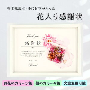 yԓ芴ӏz hCt[芴ӏ r{g ̊zt ԓ芴ӏ IWiӏ qĊӏ qđƏ؏ ei eւ̃v[g 搶ւ̃v