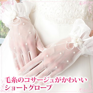 y؂蒴zEFfBOO[u V[g O[u  AC{[ p[ ю̃RT[W Vv ANZT[ EGfBO      ԉ 񎟉