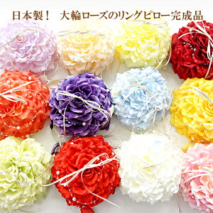 Os[ iy{zփ[Y S12F o KN t[ Ԃт nhCh  EGfBO EFfBO uC_ O{[C OK[  킢 l