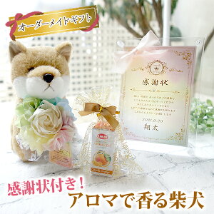 y͕ύX [z~jӏ A}ōČ MtgZbg  ~ju[P {t { ʂ eւ̃v[g Mtg v[g 蕨 LOi a ̓ 