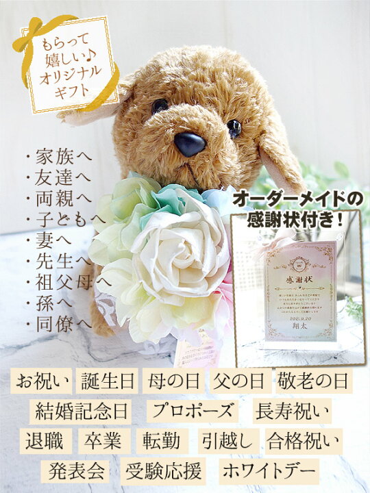 楽天市場 感謝状付き アロマで香るトイプードル ブラウン 感動ギフト ぬいぐるみ 翌営業日発送 幅広い用途用感謝状 誕生日 母の日 父の日 敬老の日 家族 妻 祖父母 先生 退職などに広く使えるオーダーメイド感謝状付き ウェディングアイテム