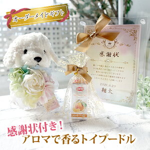 y͕ύX [z~jӏ A}ōgCv[h zCg MtgZbg  ~ju[P {t { ʂ eւ̃v[g Mtg v[g 蕨 LOi 