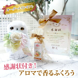 y͕ύX [z~jӏ A}ōtNE uE MtgZbg  ~ju[P {t { ʂ eւ̃v[g Mtg v[g 蕨 LOi a