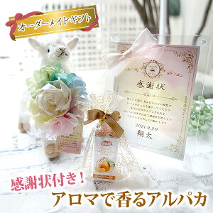 y͕ύX [z~jӏ A}ōApJ MtgZbg  ~ju[P {t { ʂ eւ̃v[g Mtg v[g 蕨 LOi a ̓ 