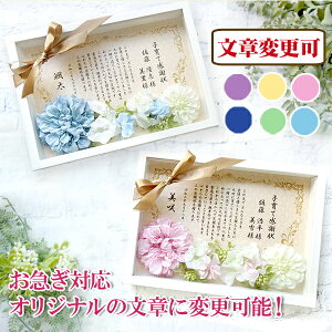 y͕ύX [z ԓ芴ӏ { ̊zt qĊӏ qđƏ؏ ei eւ̃v[g 搶ւ̃v[g LOi  Mtg v[g 蕨 